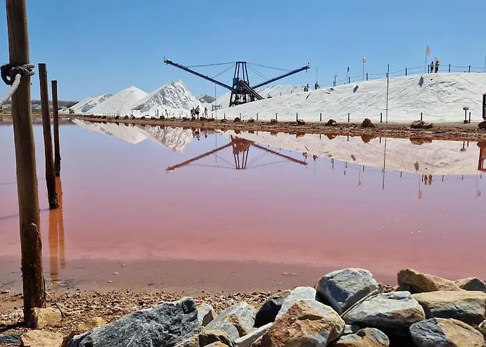 Jardin Playa Del Cura * Torrevieja